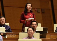 Cần đầu tư đồng bộ hạ tầng đảm bảo cho nghề cá